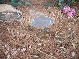 image of grave number 619091